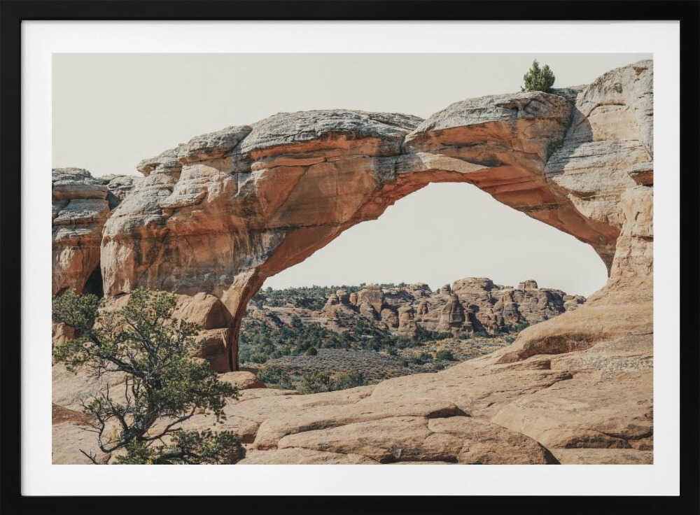 Vue vers l'ouest | Affiche