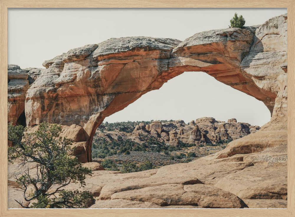 Vue vers l'ouest | Affiche