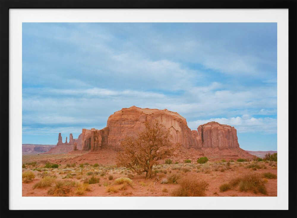 Monument Valley IX | Poster