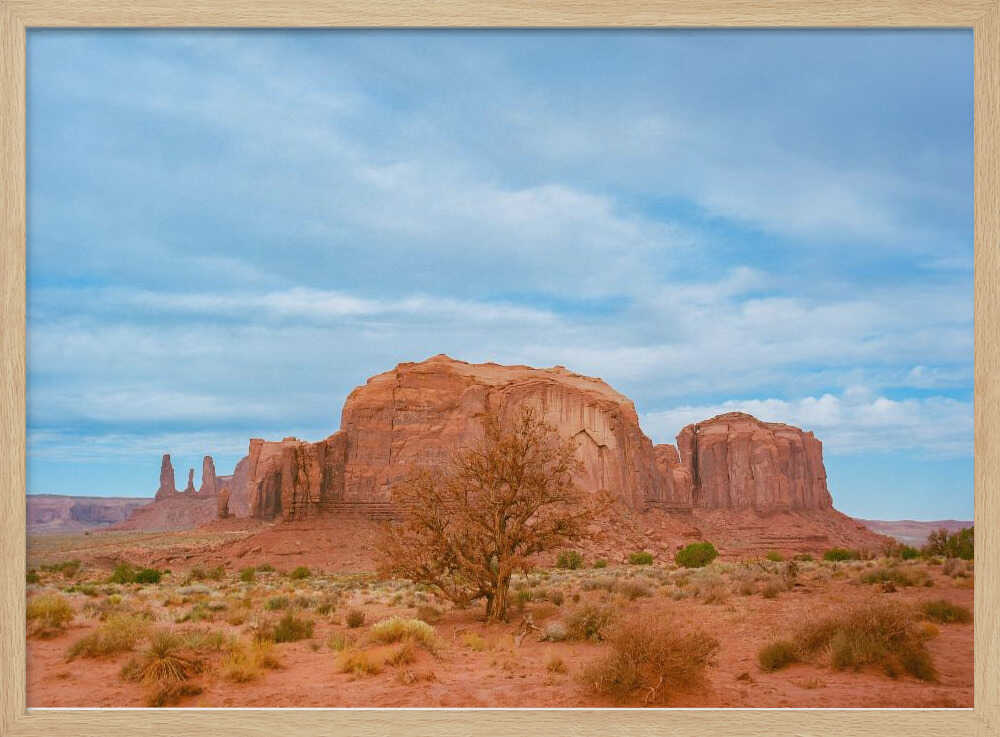 Monument Valley IX | Poster