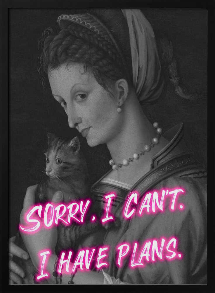 Catlady-Poster (2x3-Format)