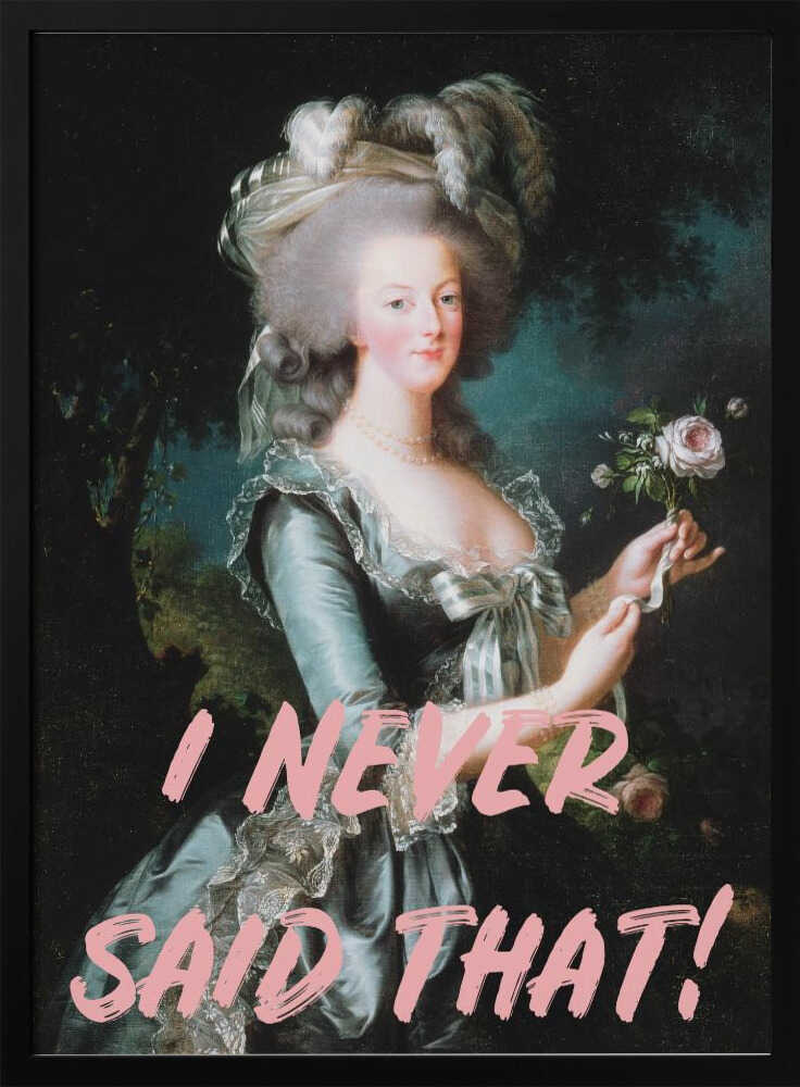 Ich habe nie gesagt, dass das Verhältnis 2x3 ist | Poster