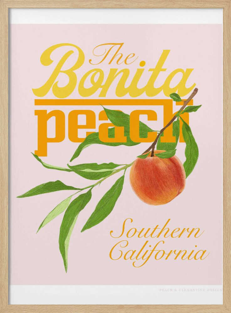 Copie de Pandcbonitapeach | Affiche