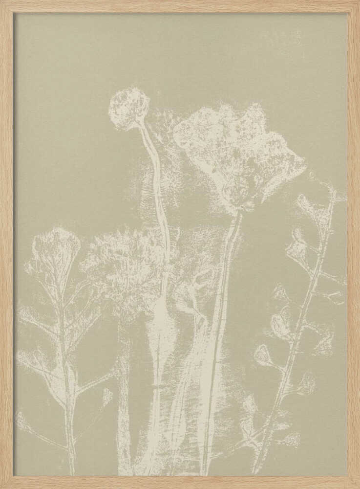 Motifs floraux abstraits. Plantes et fleurs blanches des prés sur fond beige neutre. | Affiche