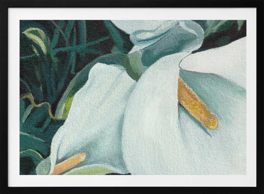 Small Arum 2 By Viccy Wanliss | Poster