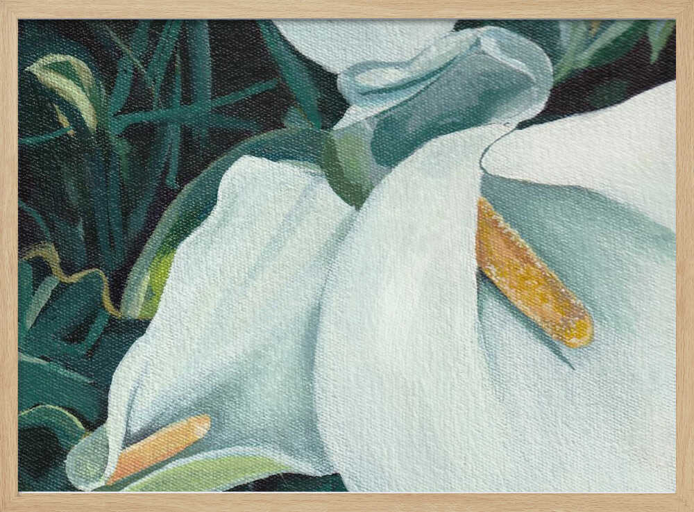 Small Arum 2 By Viccy Wanliss | Poster