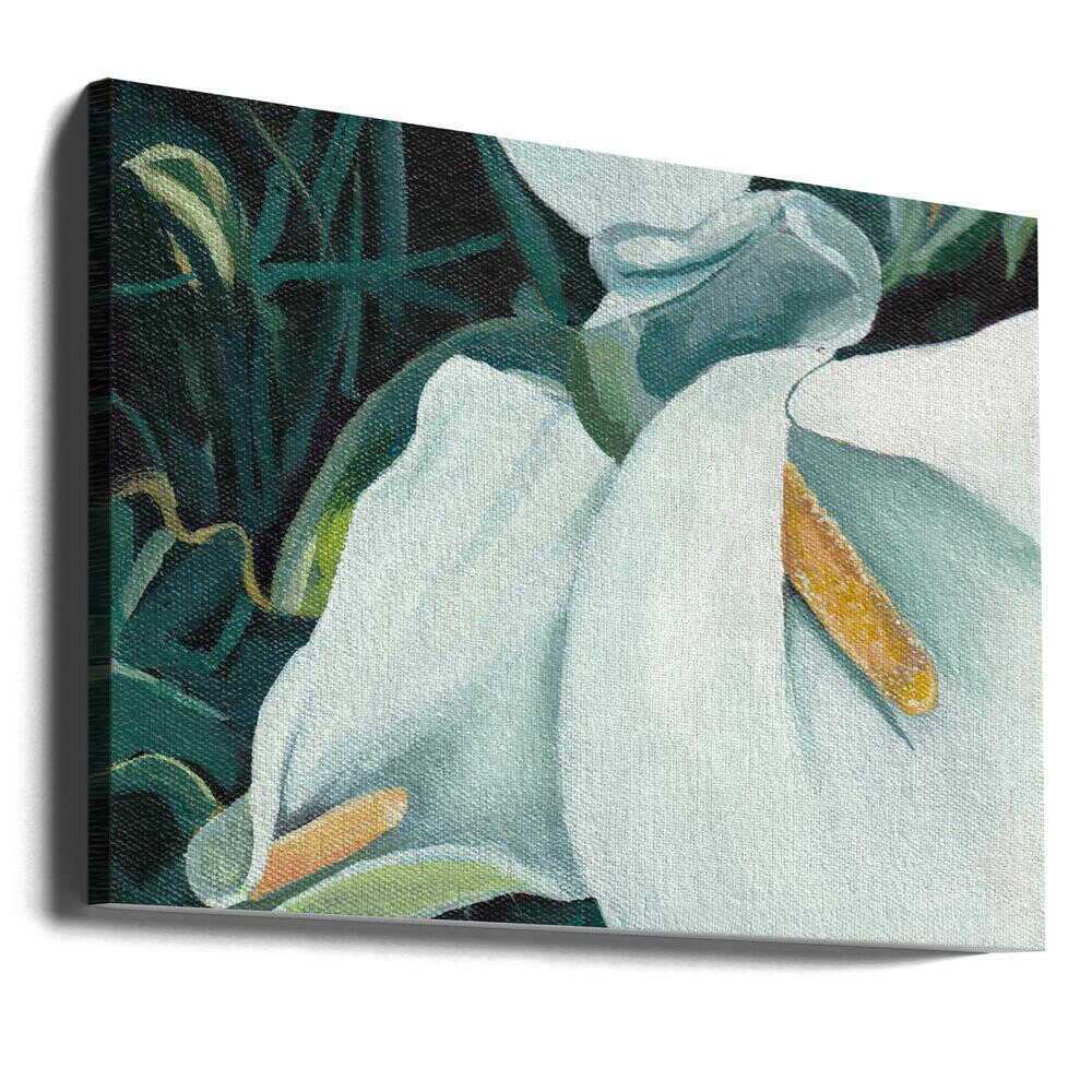 Small Arum 2 By Viccy Wanliss | Canvas