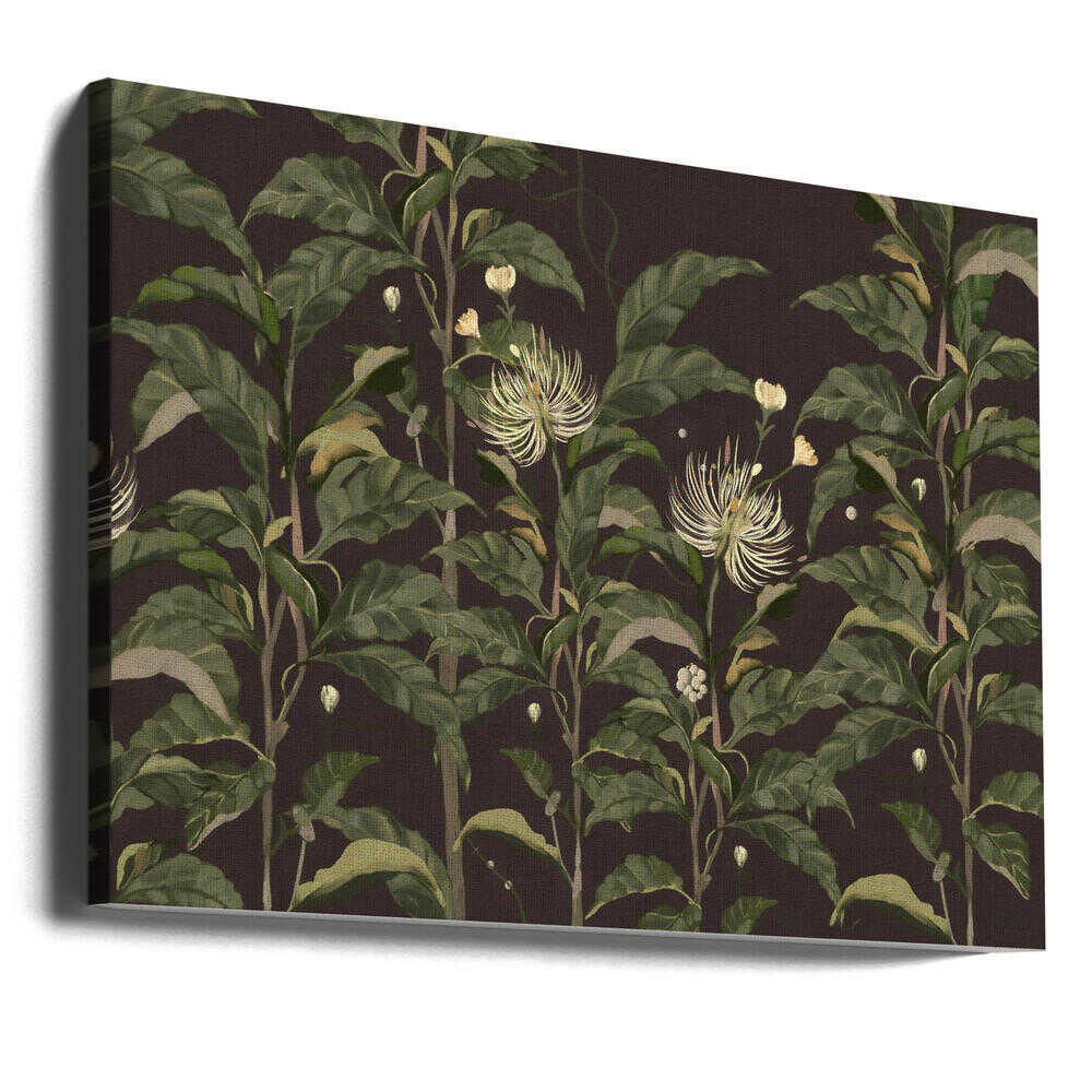 Sivera Midnight | Leinwand