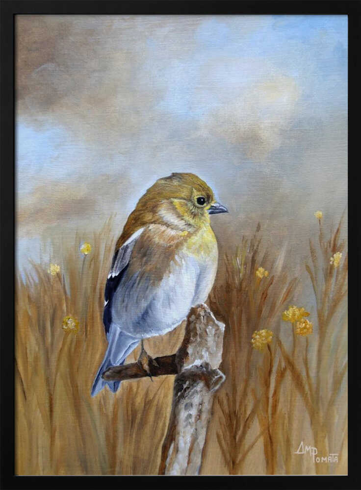 Amerikanischer Goldfink im Herbstlicht | Poster