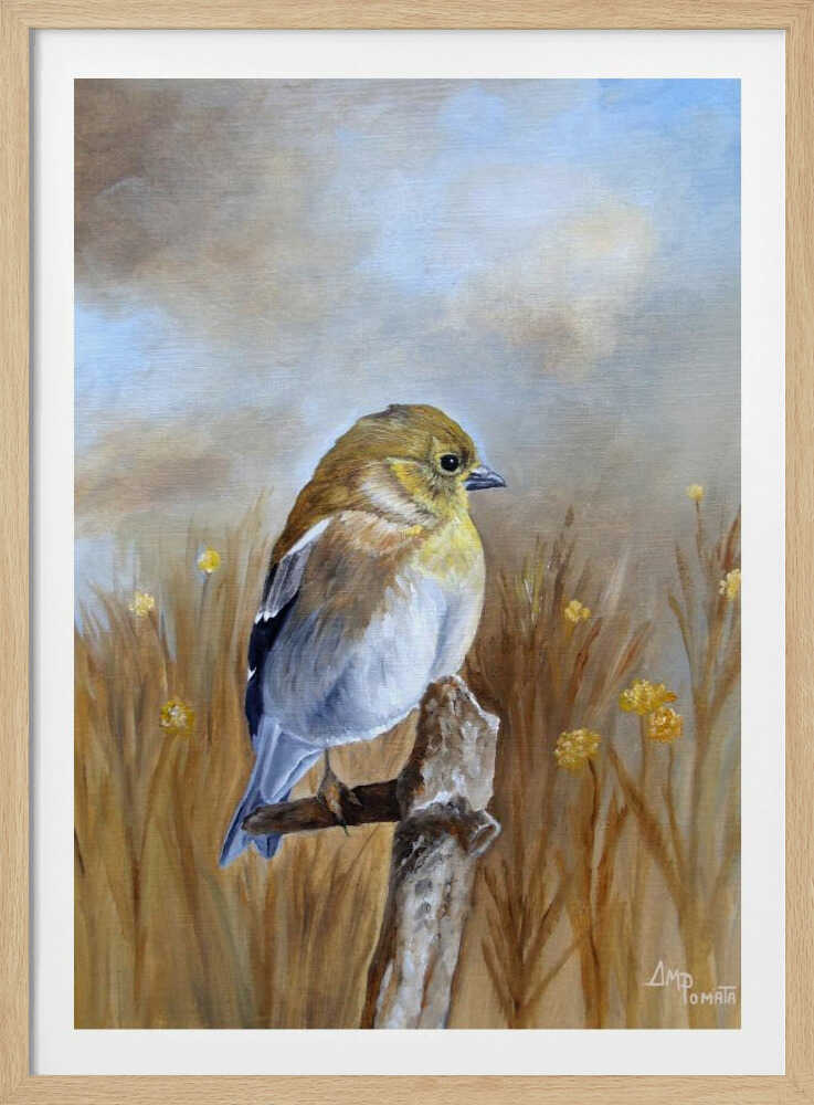 Amerikanischer Goldfink im Herbstlicht | Poster