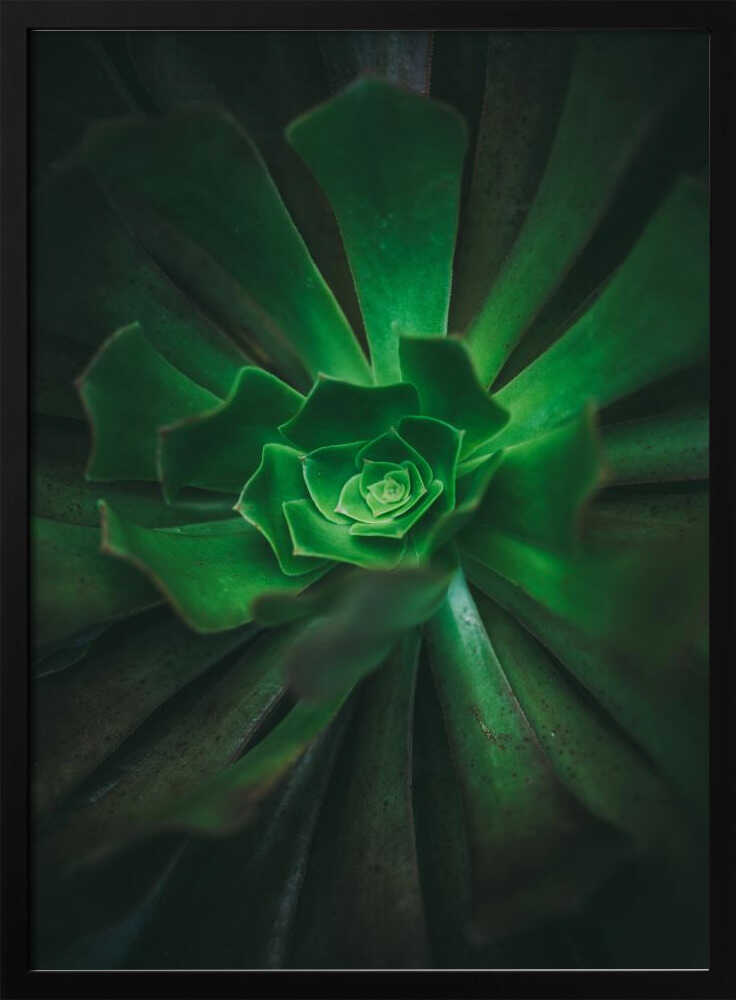 Green Spiral Bloom | Poster