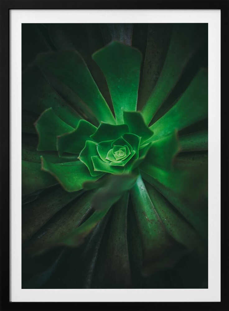 Green Spiral Bloom | Poster