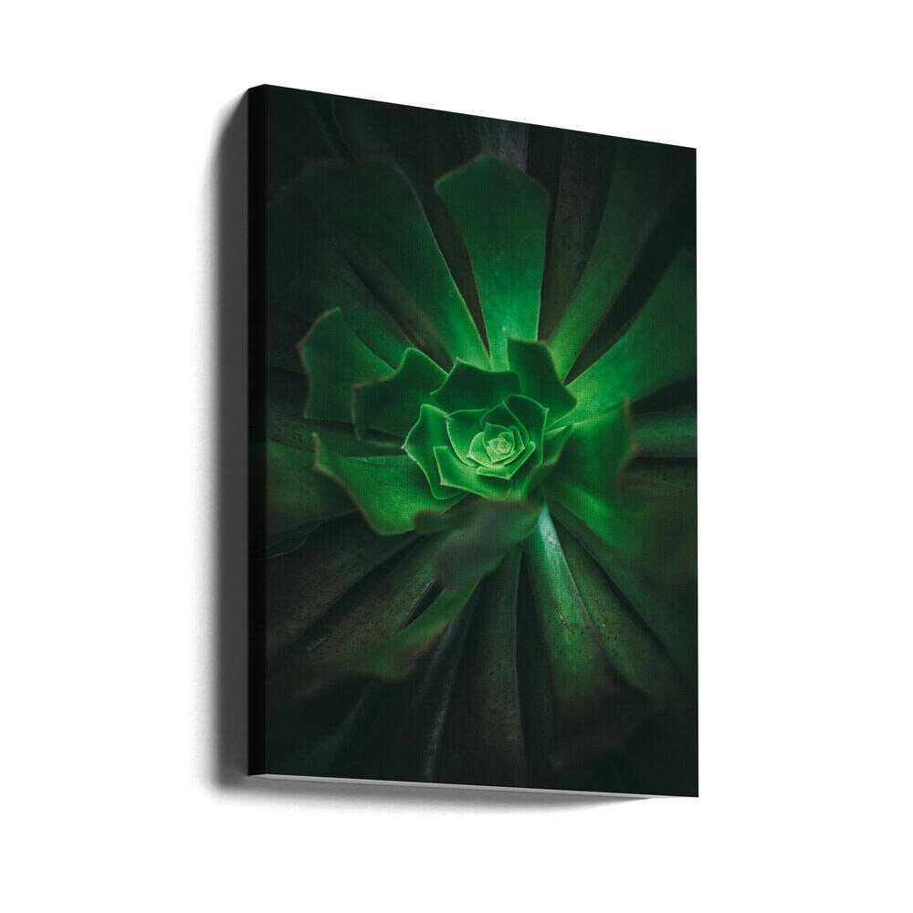 Grüne Spiralblüte | Leinwand