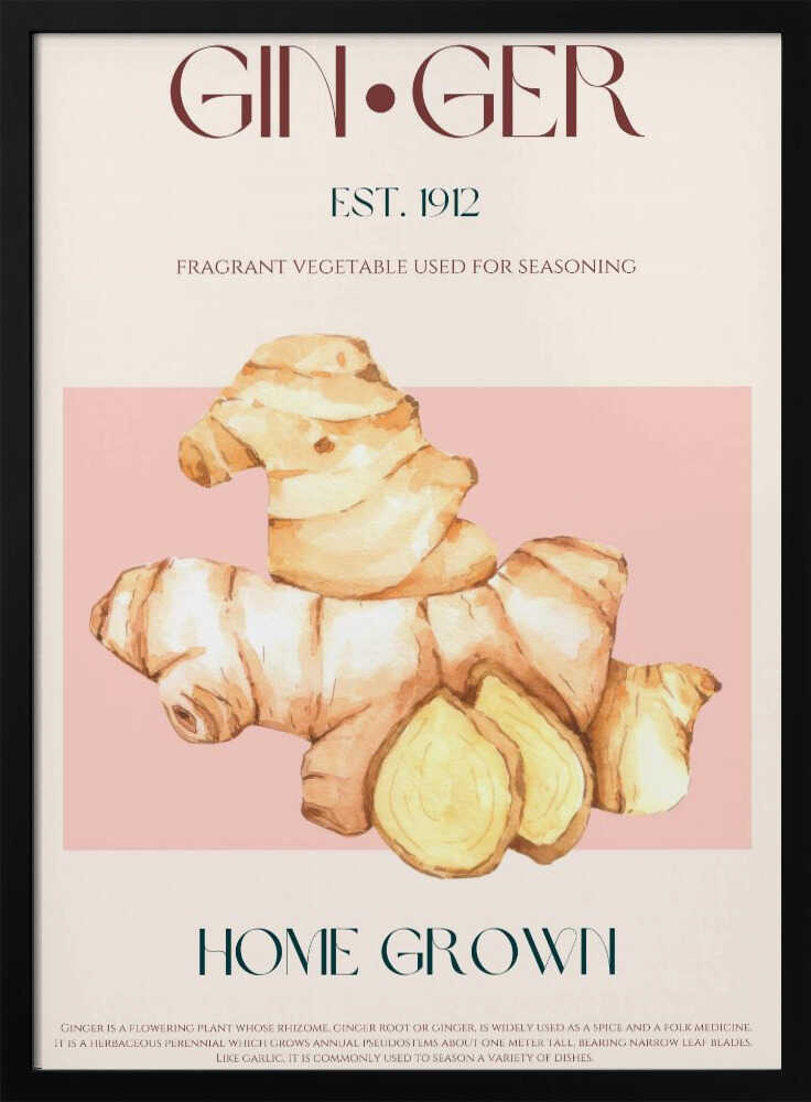 Illustration à l'aquarelle de gingembre | Affiche