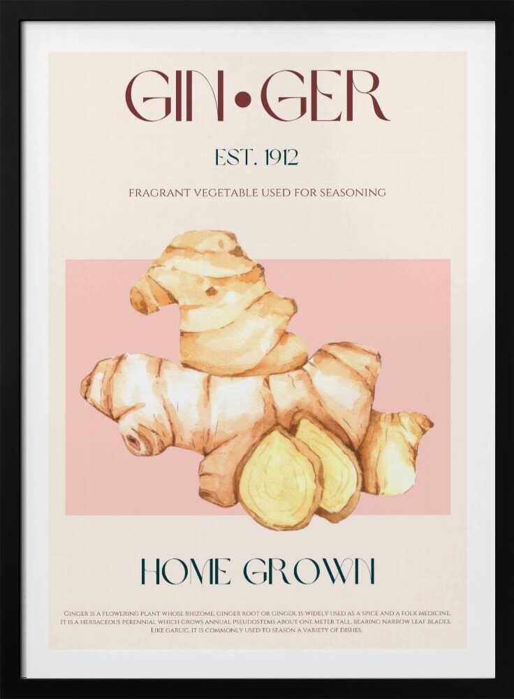 Illustration à l'aquarelle de gingembre | Affiche