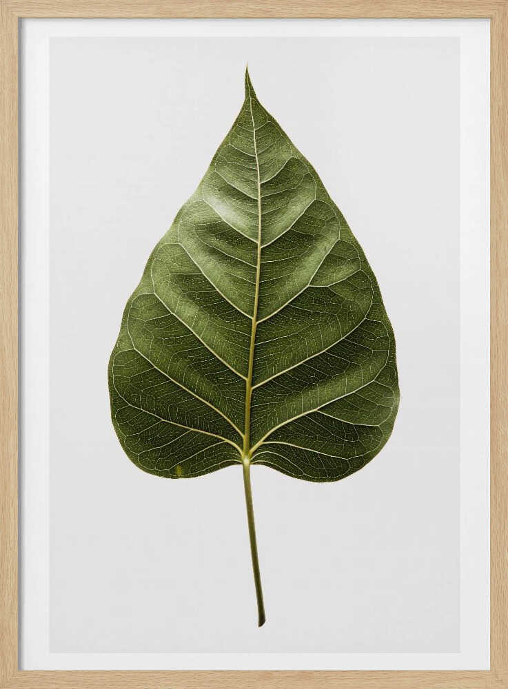 Die filigranen Blattadern | Poster