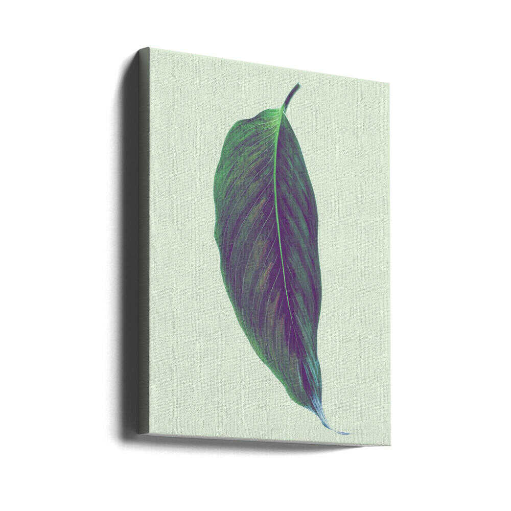 Einzelnes grünes Blatt | Leinwand