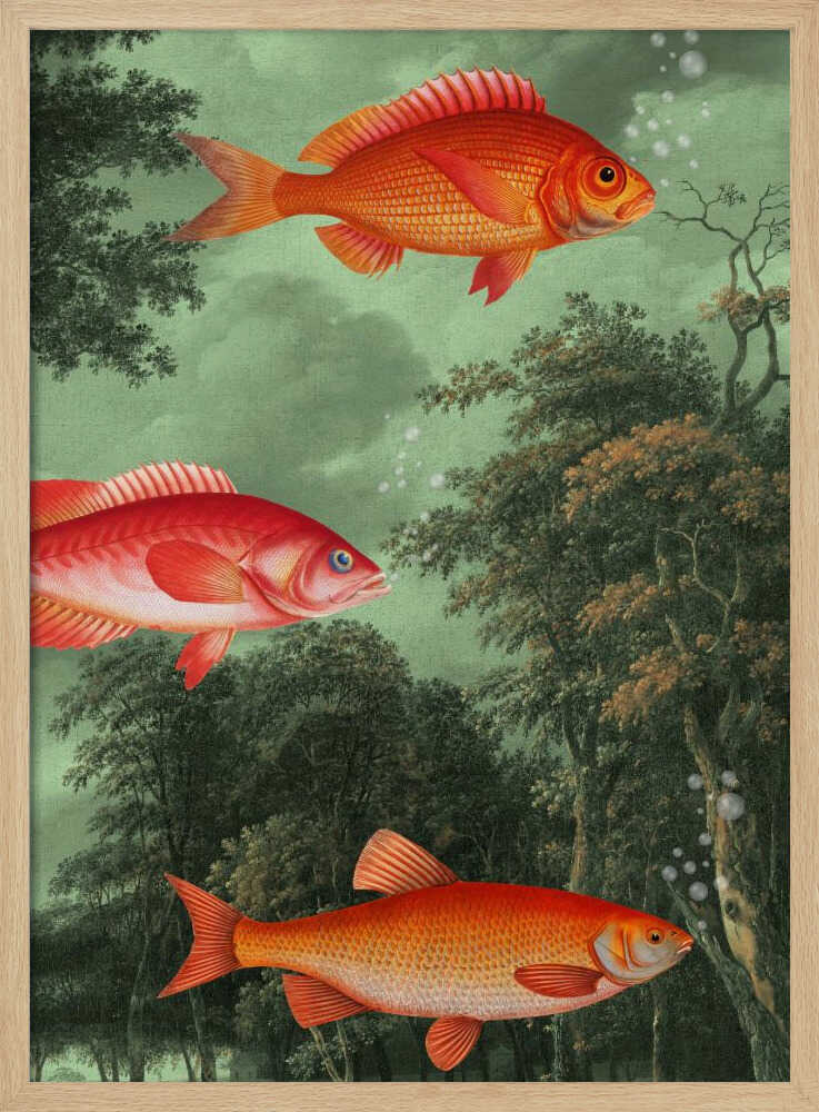 It's the Season of Flying Fish | Poster