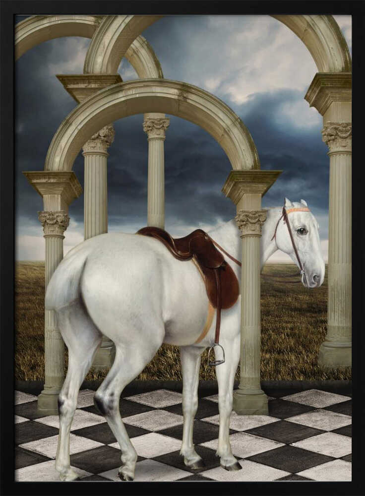 Graue Jägerin | Poster