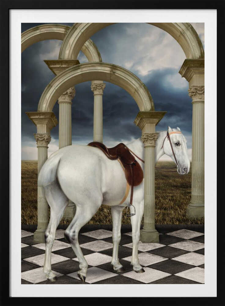 Graue Jägerin | Poster