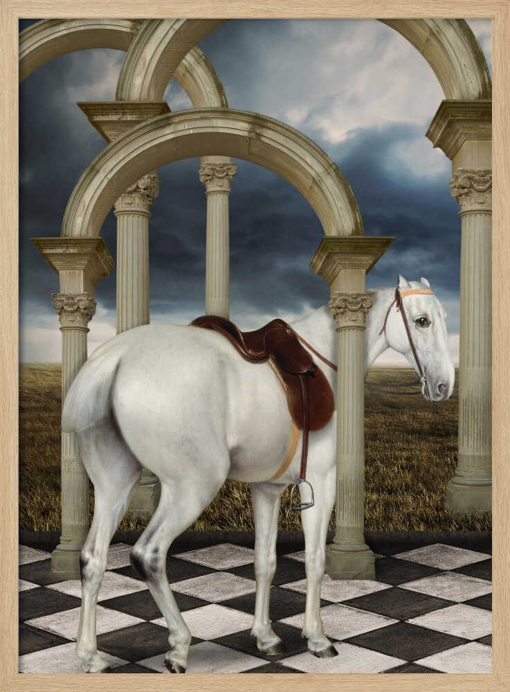 Graue Jägerin | Poster