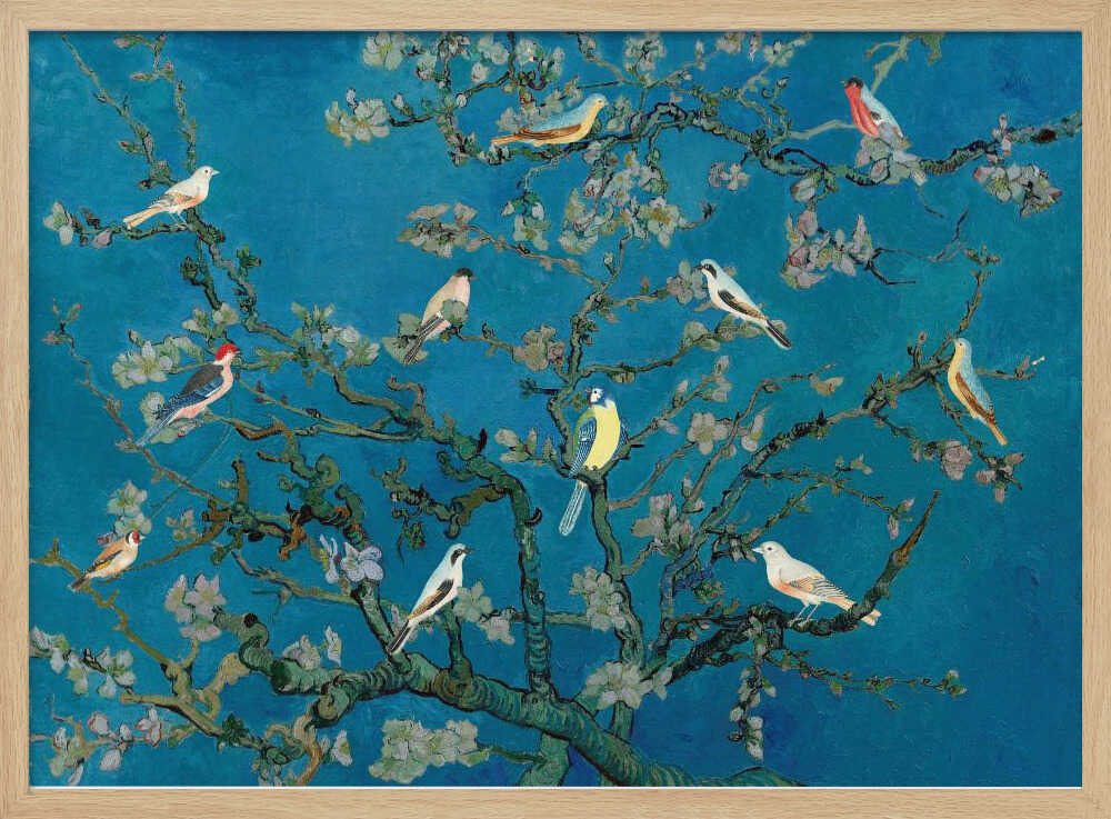 Birds In the Almond Blossom | Poster