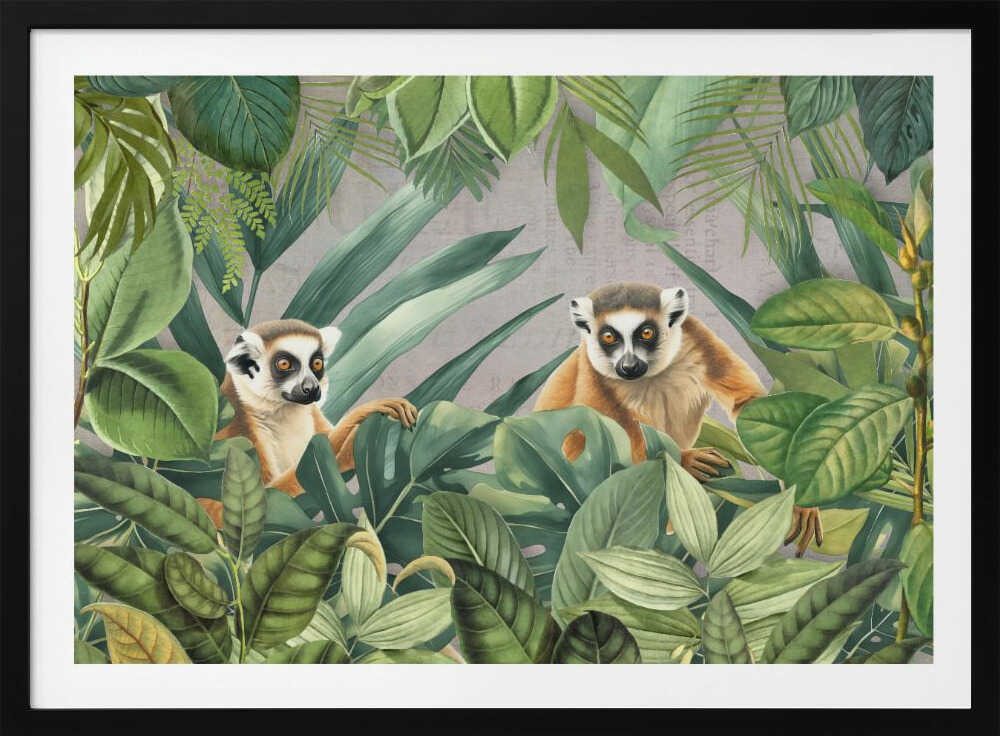 Lemur Jungle | Poster