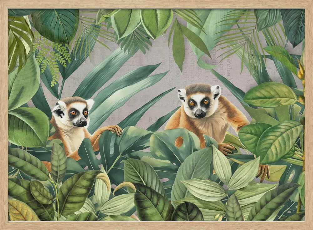 Lemur Jungle | Poster