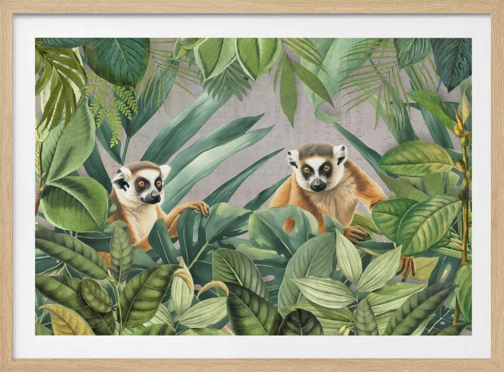 Lemur Jungle | Poster