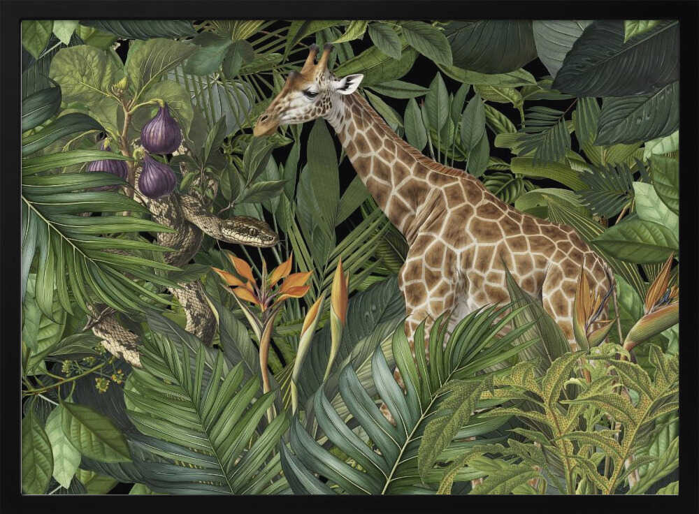 Giraffe and Snake | Poster