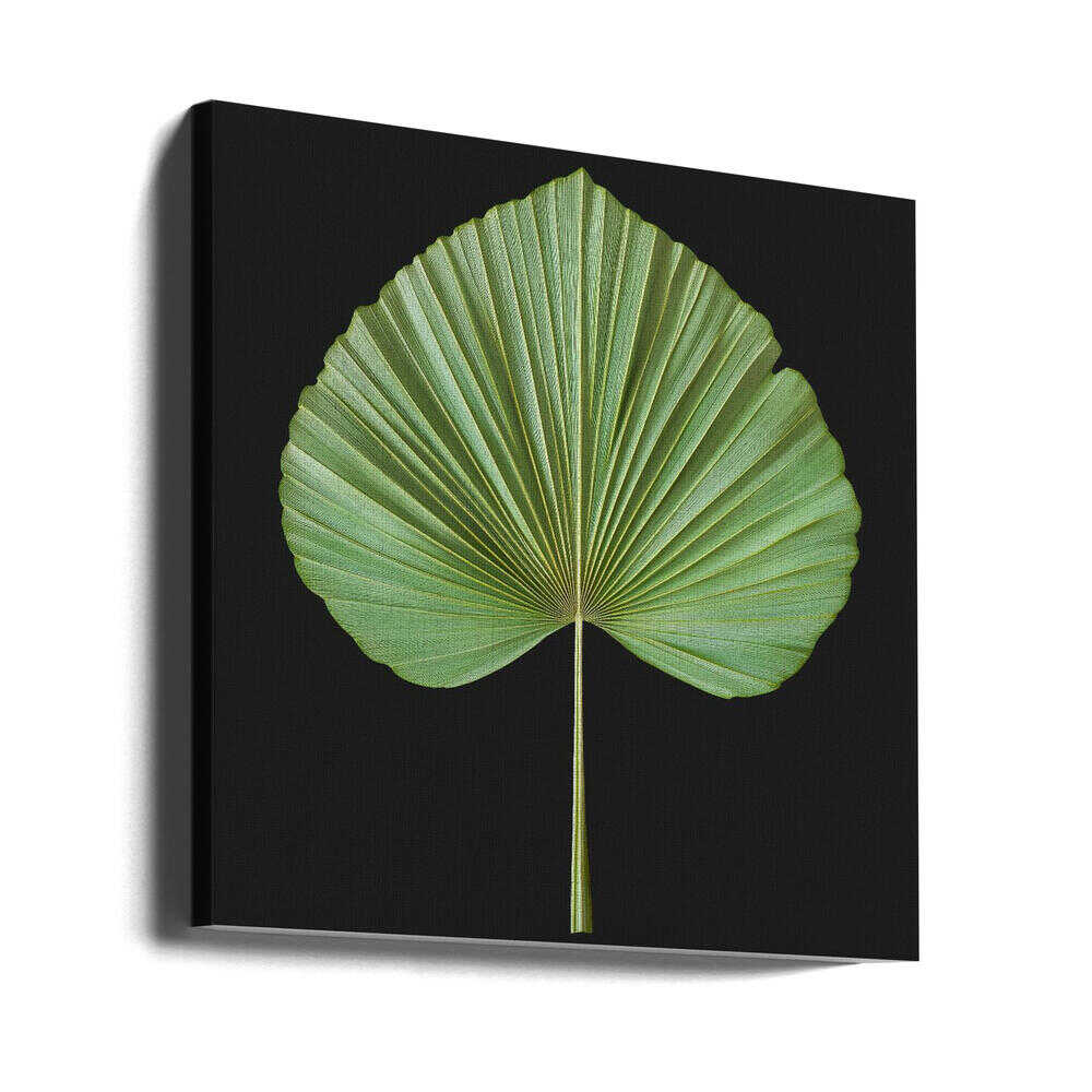 Feuille exotique rétro et nostalgique d'été | Toile