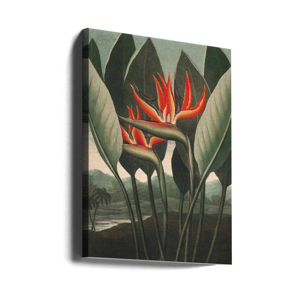 La Reine-Plante du Temple de Flore (1807) | Toile