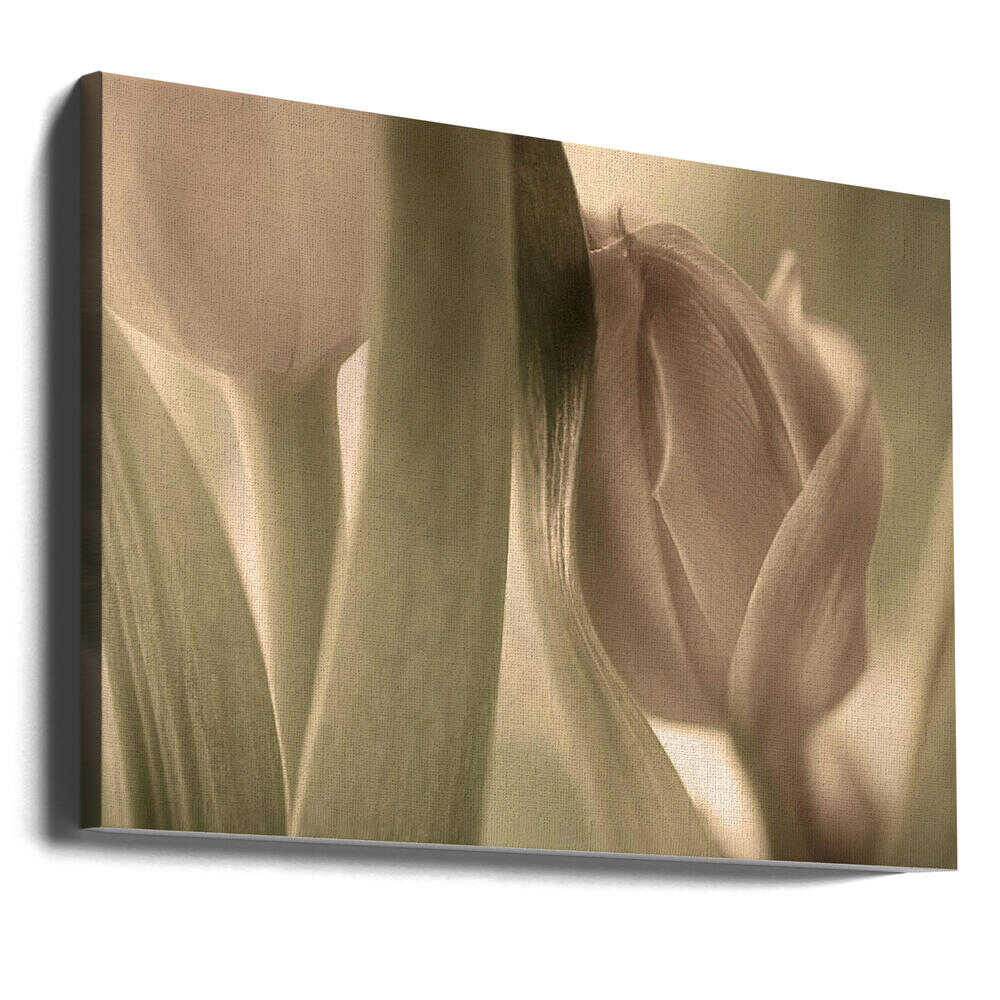 Tulpen | Leinwand