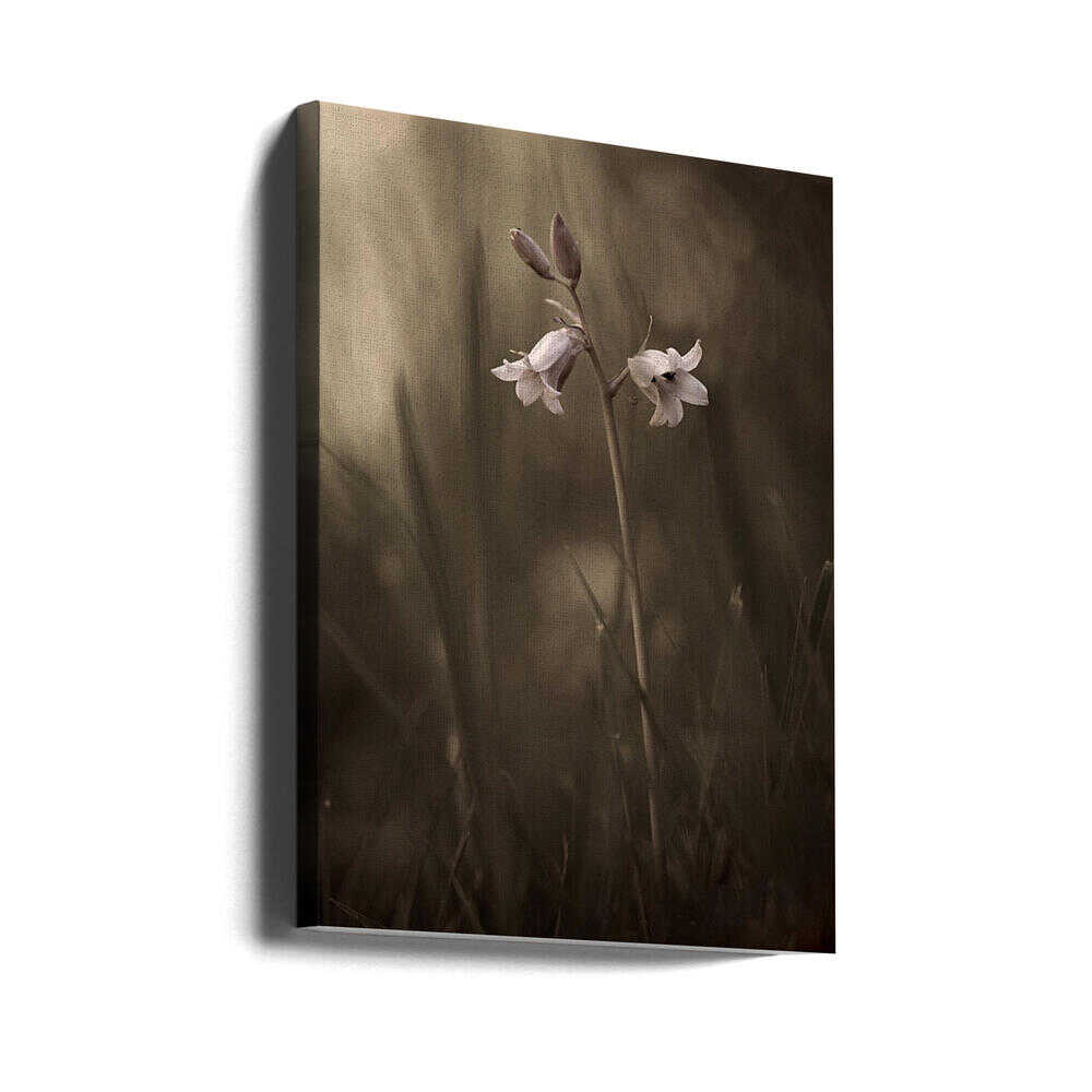 A small flower on the ground | Canvas