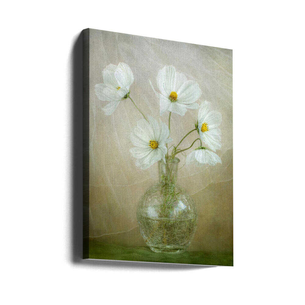 Cosmos breeze | Canvas