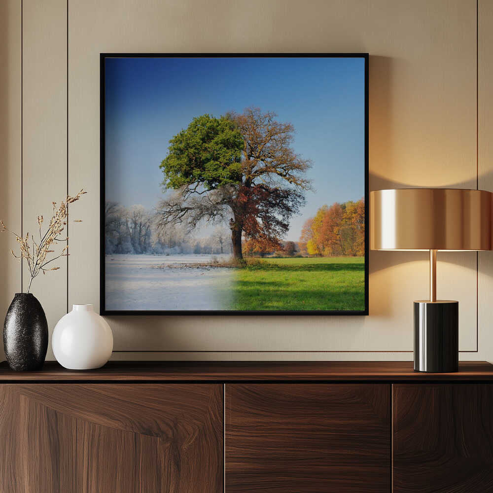 4 Jahreszeiten | Hintergrundbild