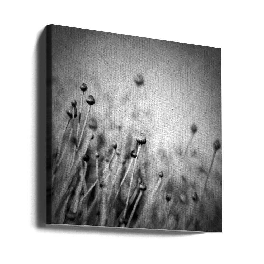 Blossom expectation | Canvas