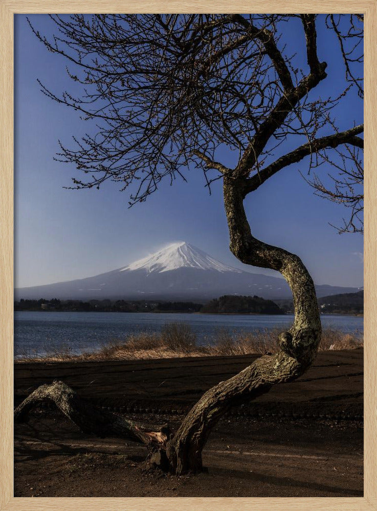 A Graceful Bow to Fuji | Poster - Wood Frame Interior