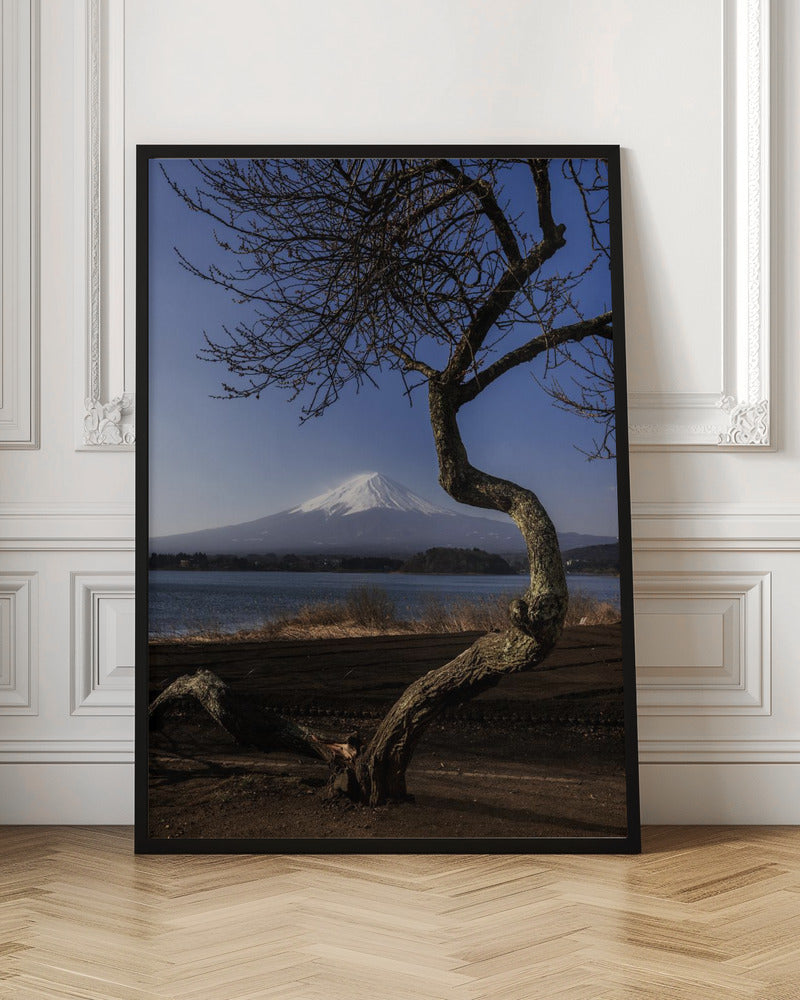 A Graceful Bow to Fuji | Poster - Room Interior 1