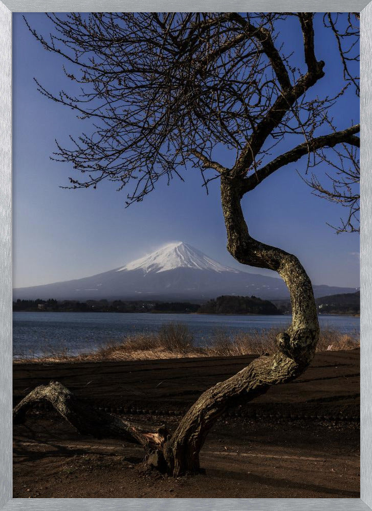 A Graceful Bow to Fuji | Poster - Silver Frame Interior