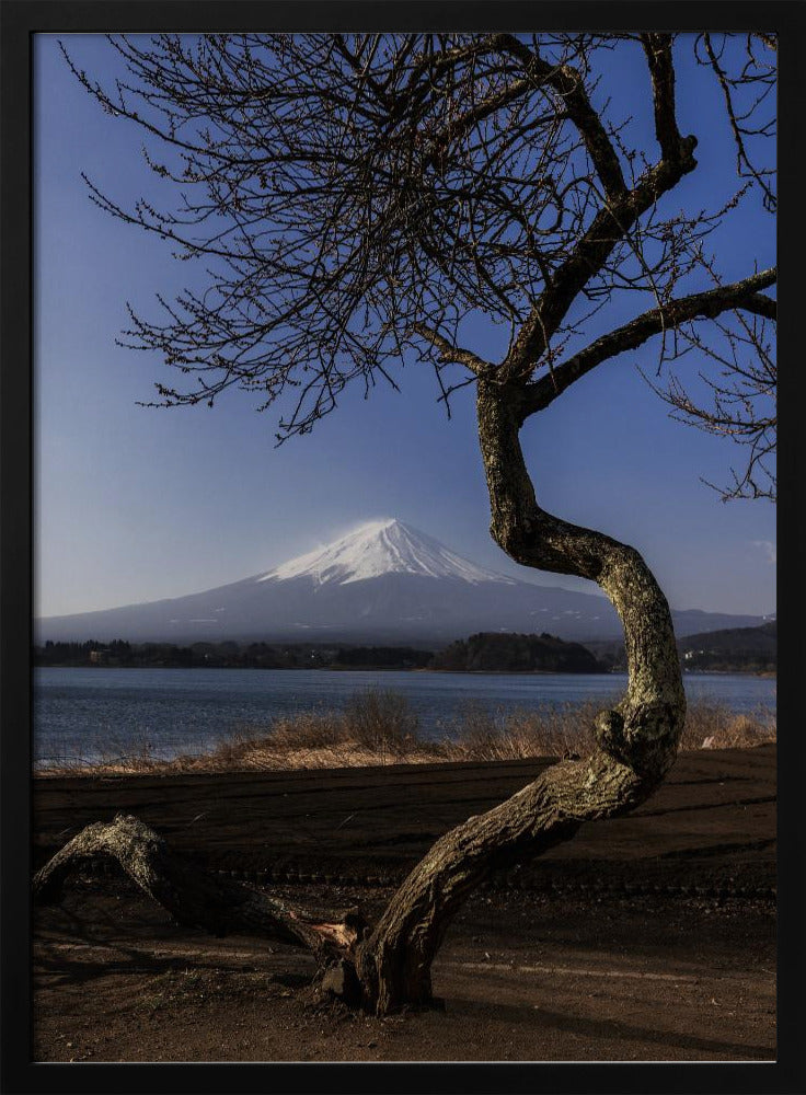 A Graceful Bow to Fuji | Poster - Black Frame Interior
