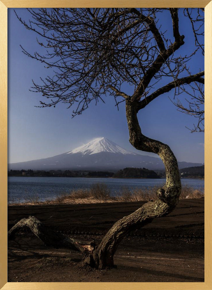 A Graceful Bow to Fuji | Poster - Gold Frame Interior