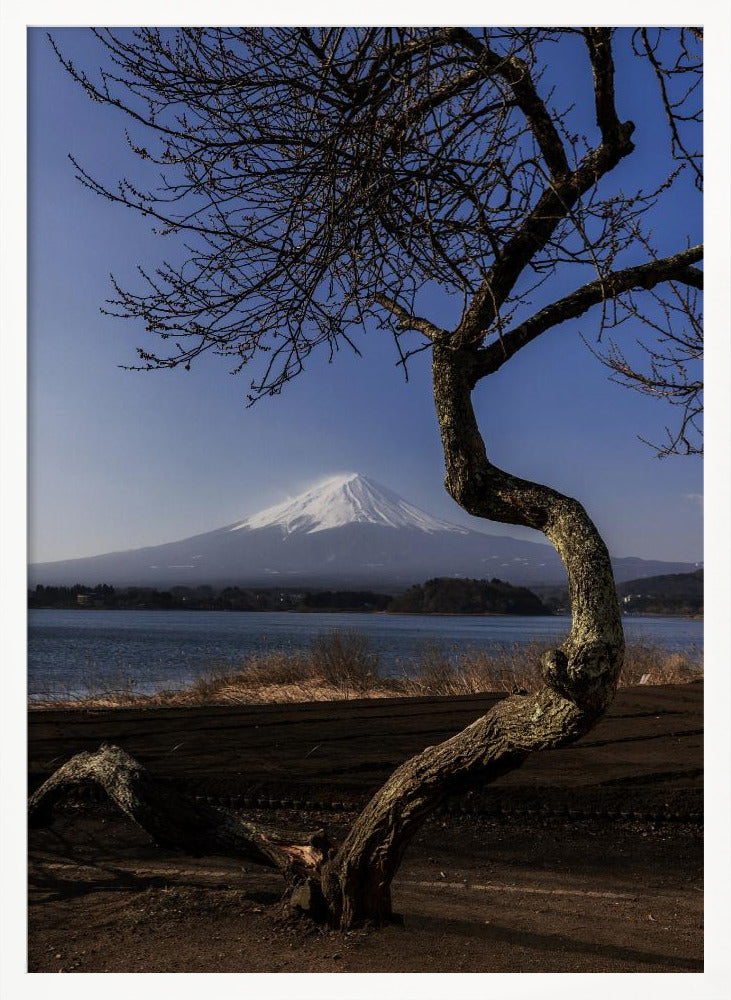 A Graceful Bow to Fuji | Poster - White Frame Interior