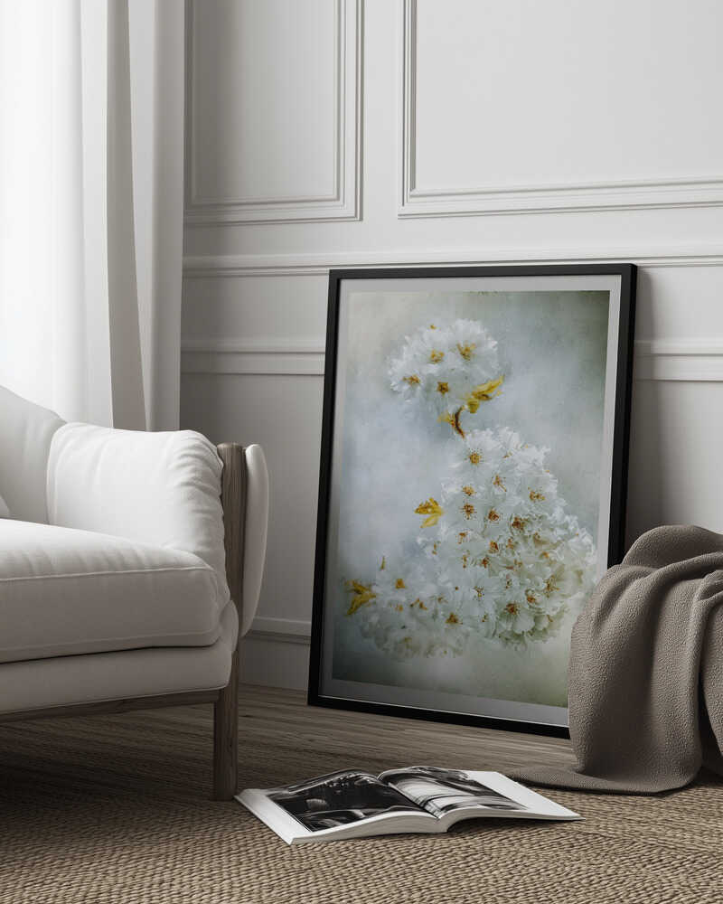 Kirschblüten | Poster