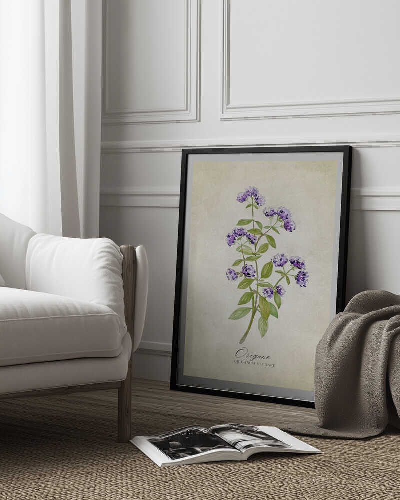 Vintage-Oregano | Poster