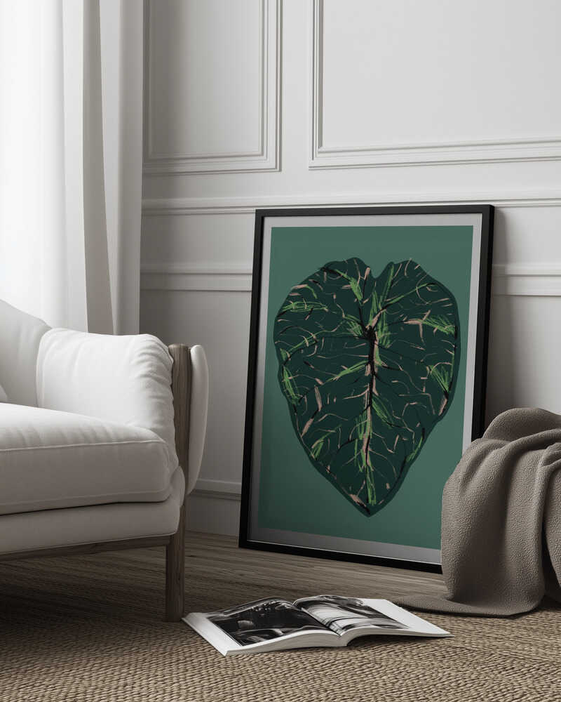 Alocasia Melo Dark | Poster