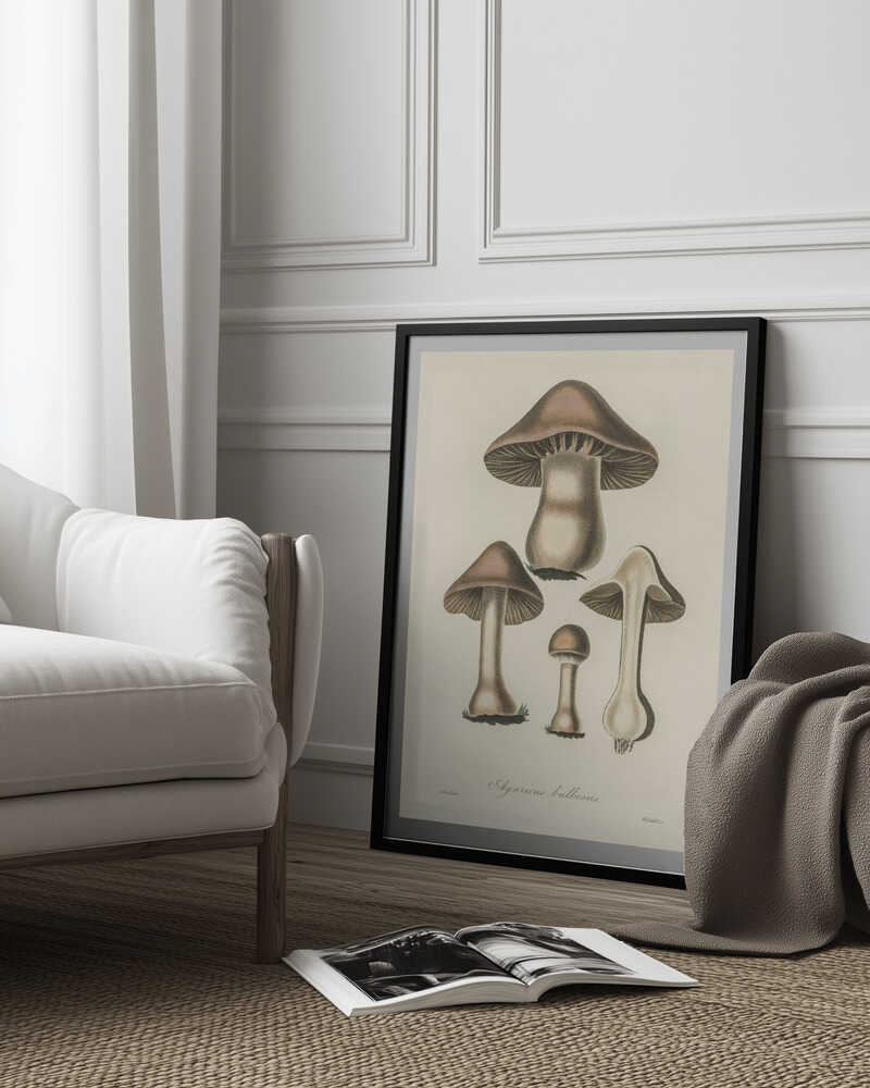 Illustration von Agaricus bulbosus. Medizinische Botanik 1836 | Poster