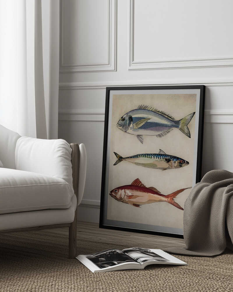 Drei Meeresbewohner | Poster