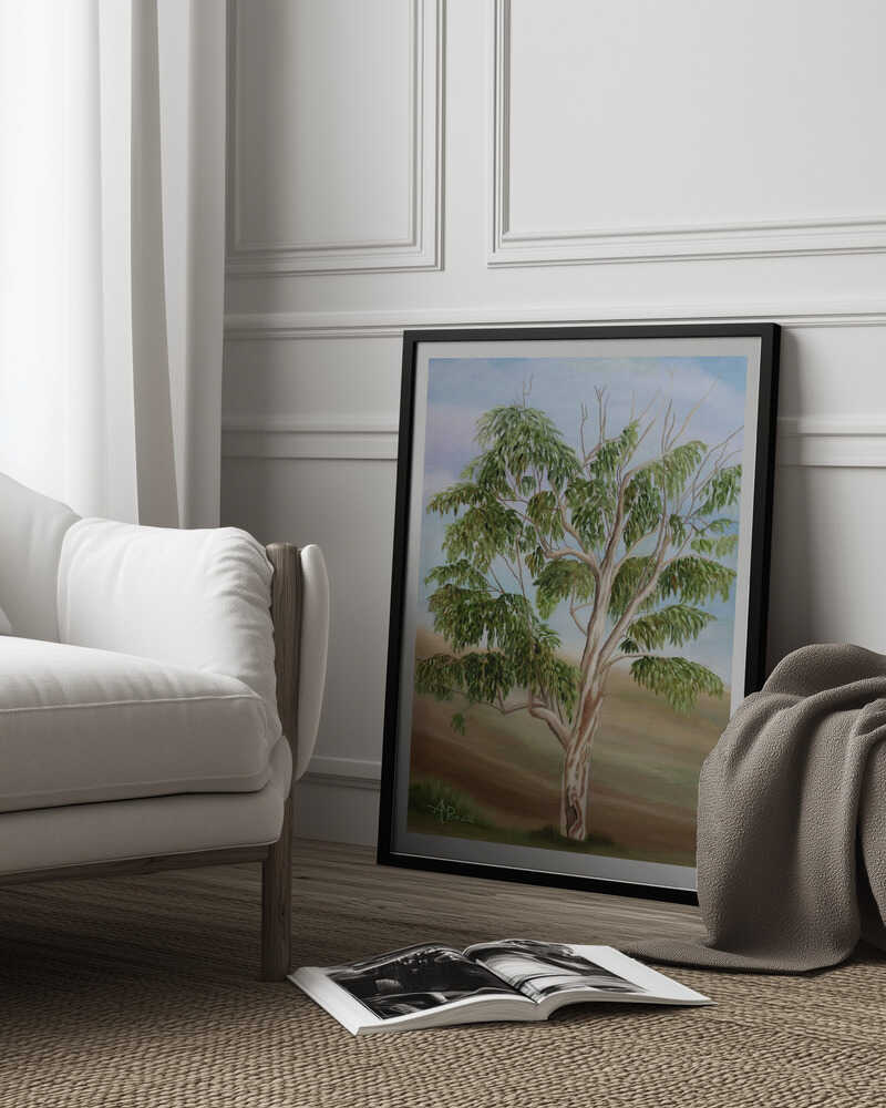 Eucalyptus | Affiche