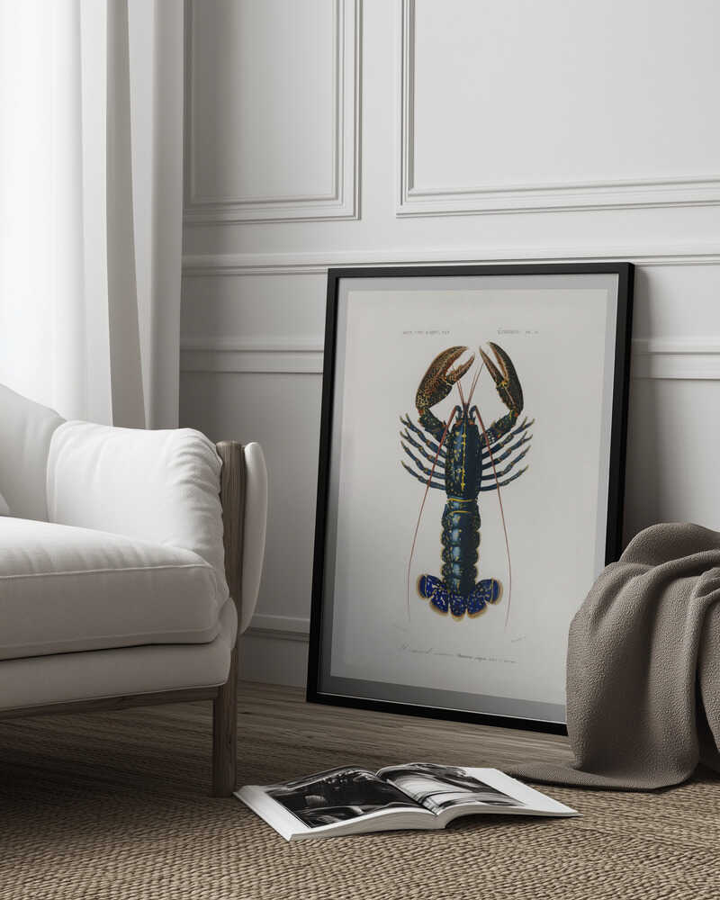 Purpurkrebs | Poster